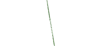 nopal.ru